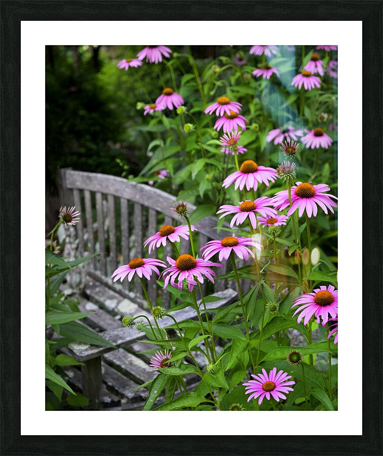 FlowersPlants 24 Picture Frame print