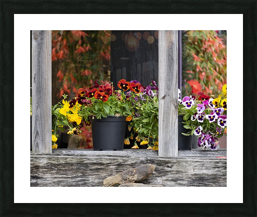 FlowersPlants 32 Picture Frame print