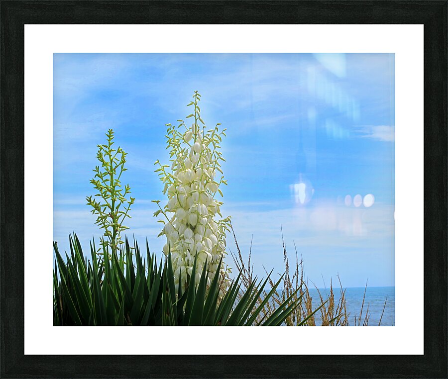 FlowersPlants 42 Picture Frame print