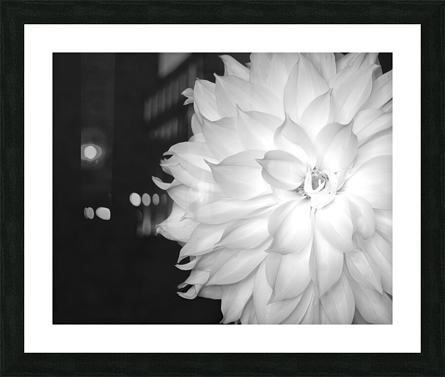 FlowersPlants 45 Picture Frame print