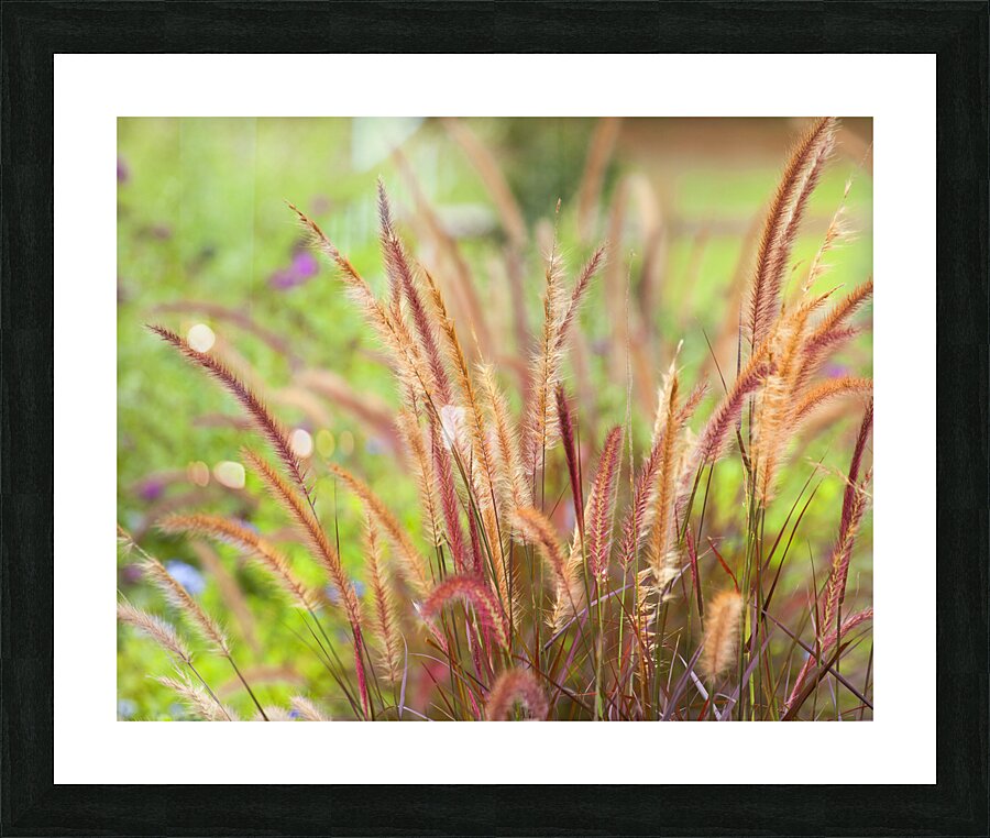 FlowersPlants 49 Picture Frame print
