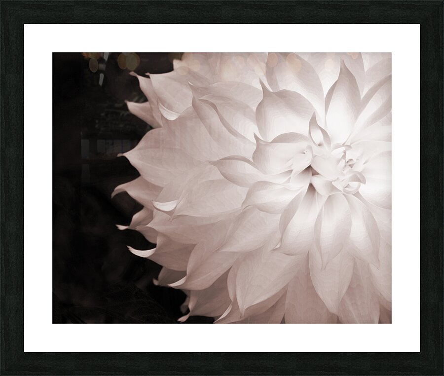 FlowersPlants 55 Picture Frame print