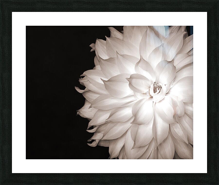 FlowersPlants 63 Picture Frame print