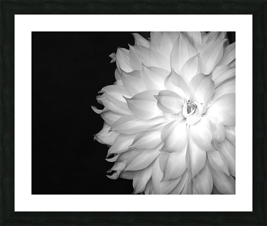 FlowersPlants 64 Picture Frame print