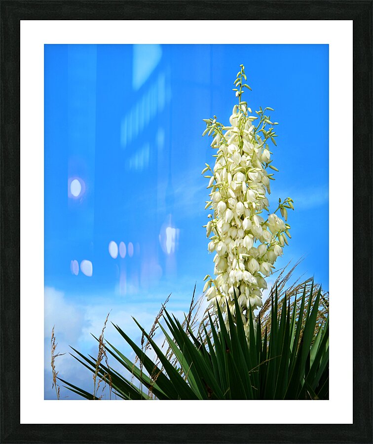 FlowersPlants 69 Picture Frame print