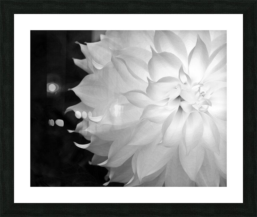 FlowersPlants 75 Picture Frame print
