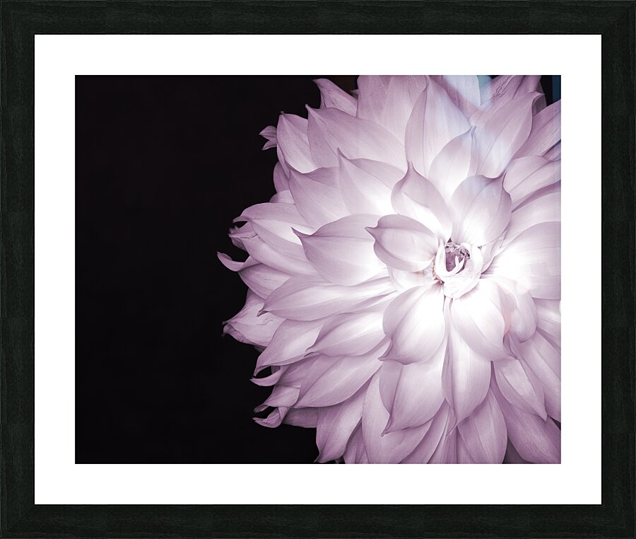FlowersPlants 86 Picture Frame print