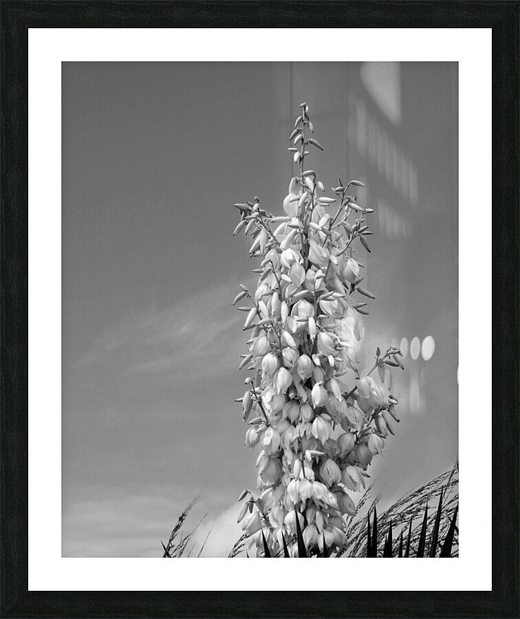 FlowersPlants 89 Picture Frame print