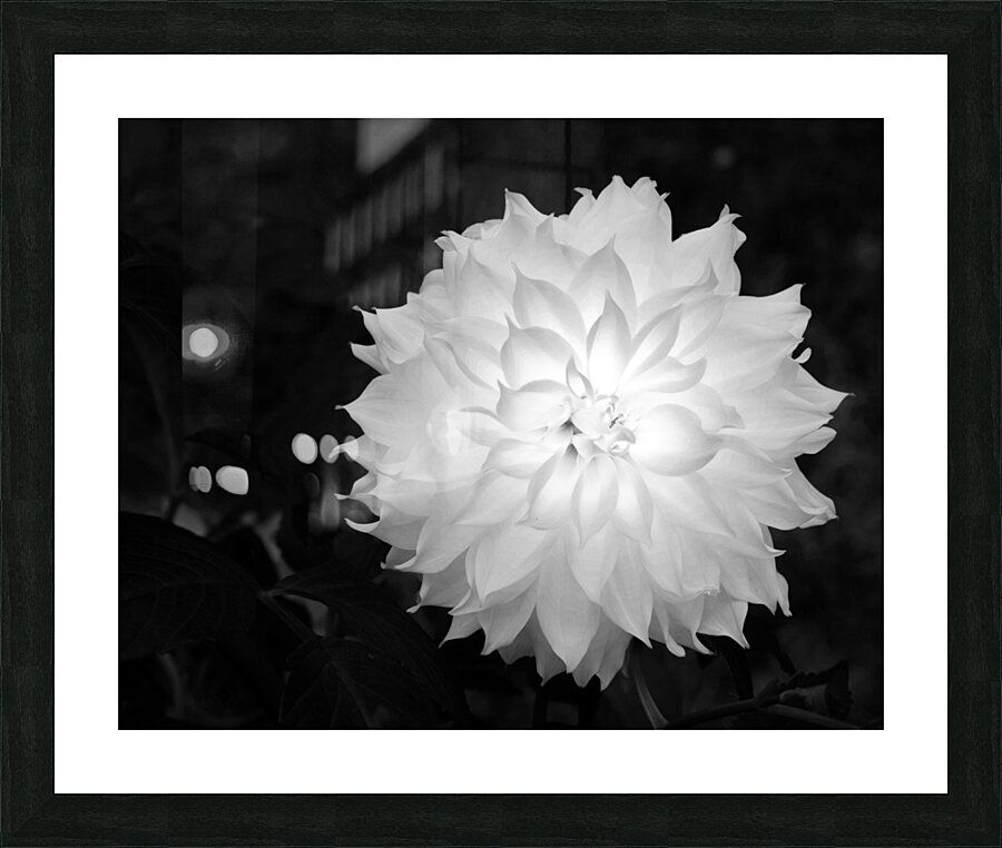 FlowersPlants 91 Picture Frame print