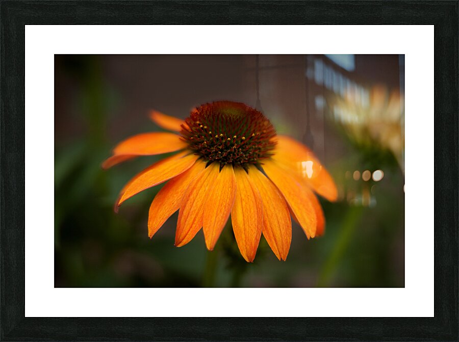 FlowersPlants 93 Picture Frame print
