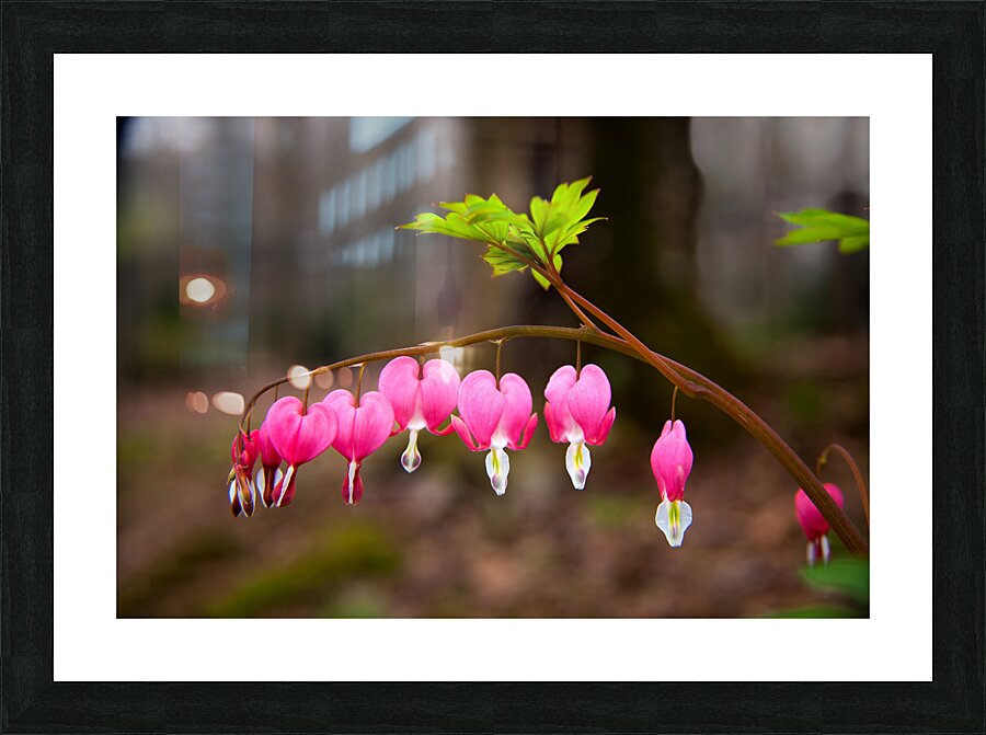 FlowersPlants 121 Picture Frame print
