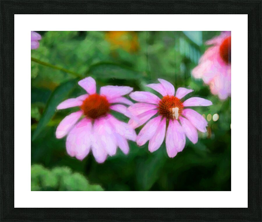 FlowersPlants 124 Picture Frame print