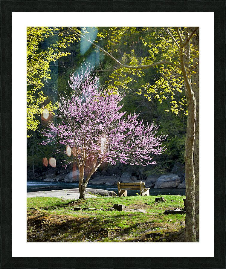 FlowersPlants 126 Picture Frame print