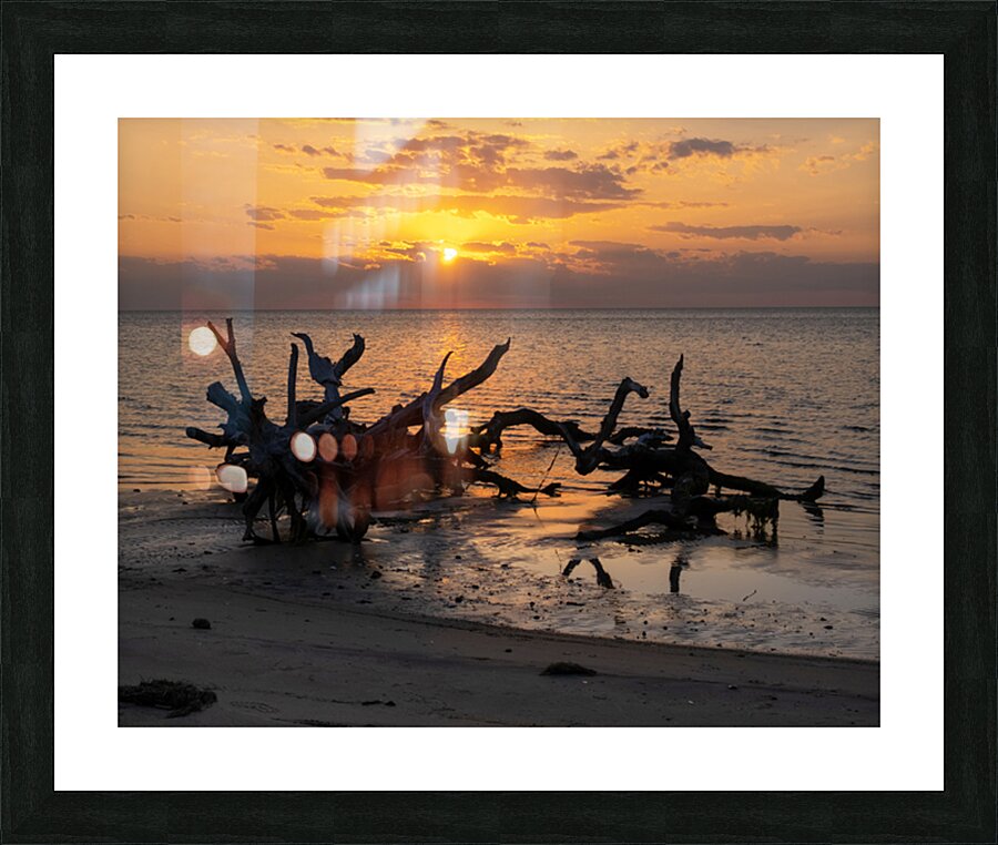 Coastal 1 Picture Frame print