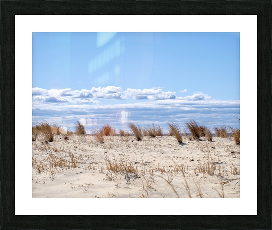 Coastal 11 Picture Frame print