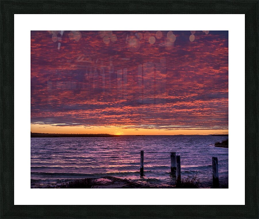 Coastal 16 Picture Frame print