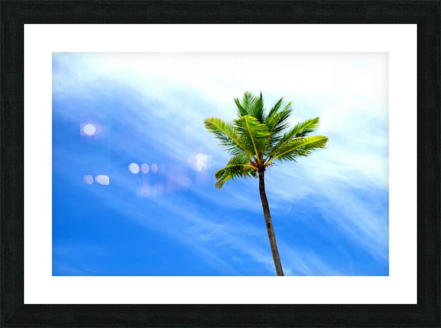 Coastal 25 Picture Frame print