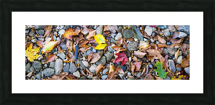Panoramic 1 Picture Frame print