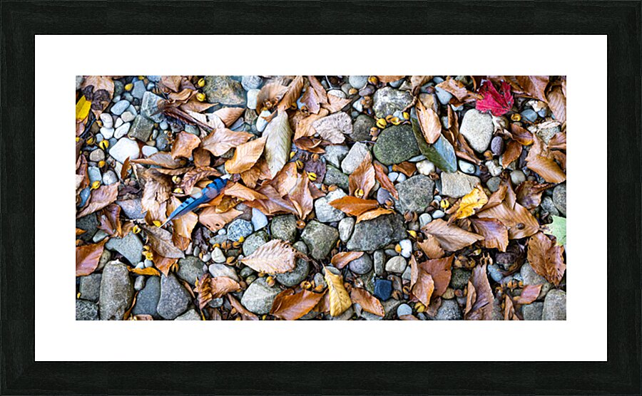 Panoramic 2 Picture Frame print