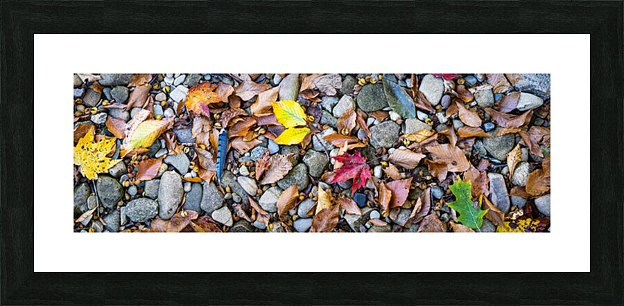 Panoramic 3 Picture Frame print
