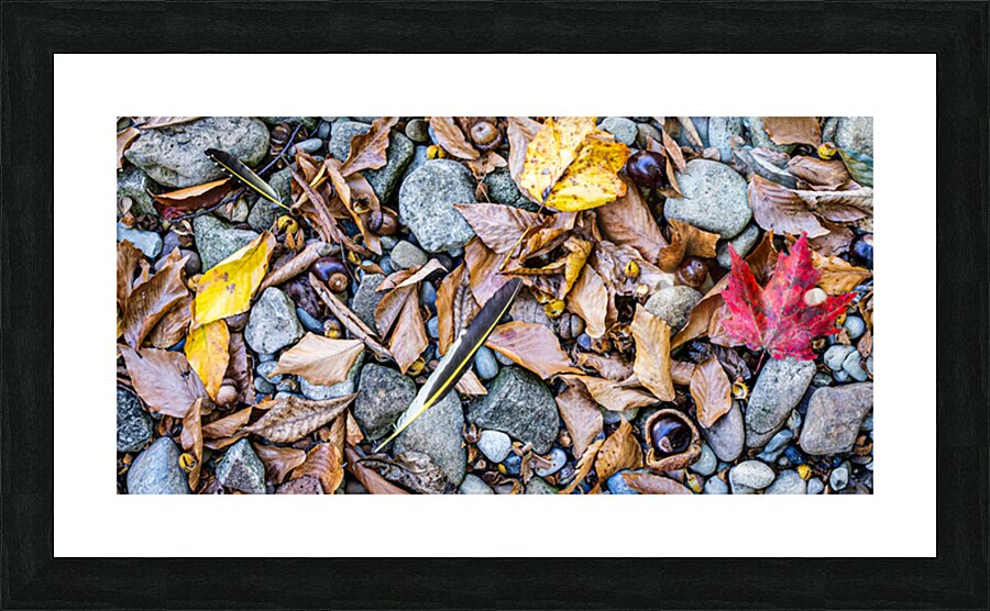 Panoramic 5 Picture Frame print