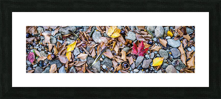 Panoramic 7 Picture Frame print