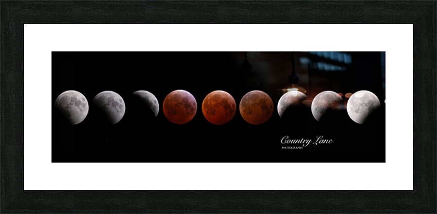 Panoramic 8 Picture Frame print
