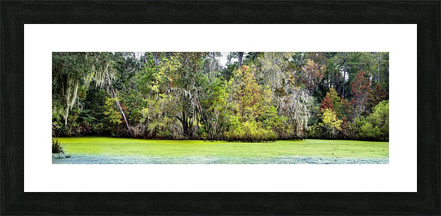 Panoramic 11 Picture Frame print