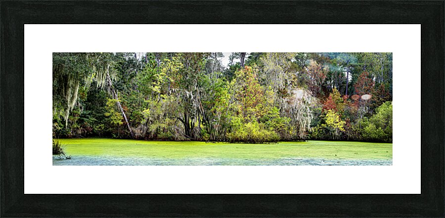 Coastal 42 Picture Frame print