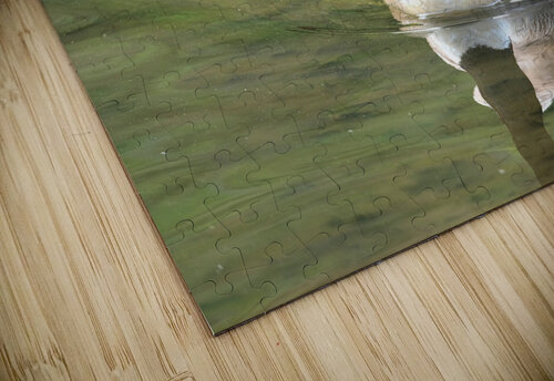 Waterfowl 81 Rich Lewis puzzle