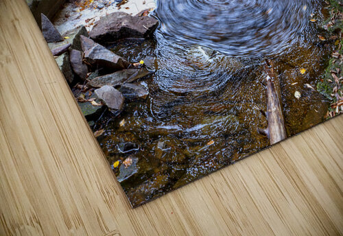 Water  19 Rich Lewis puzzle