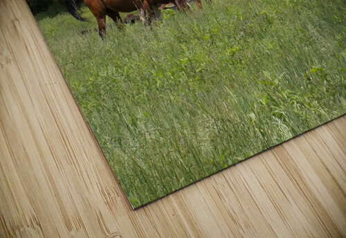 AnimalsInsects 1 Rich Lewis puzzle