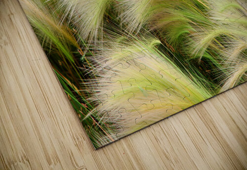 Abstract 58 Rich Lewis puzzle