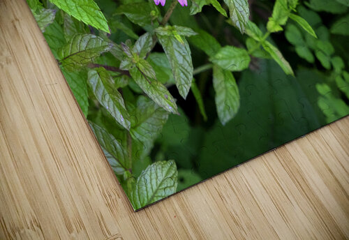 FlowersPlants 13 Rich Lewis puzzle