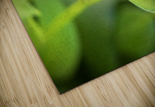 FlowersPlants 22 Rich Lewis puzzle