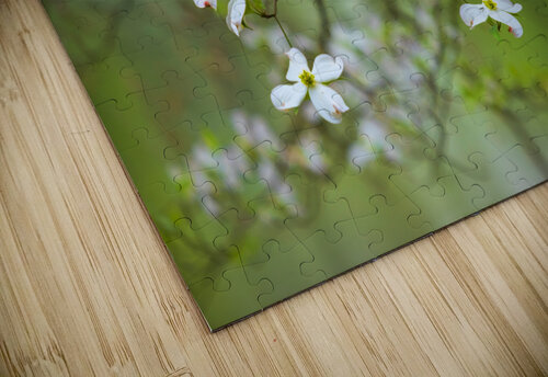 FlowersPlants 39 Rich Lewis puzzle