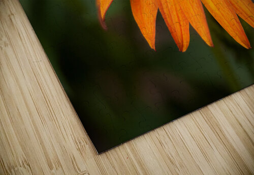 FlowersPlants 93 Rich Lewis puzzle