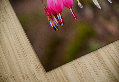 FlowersPlants 121 Rich Lewis puzzle