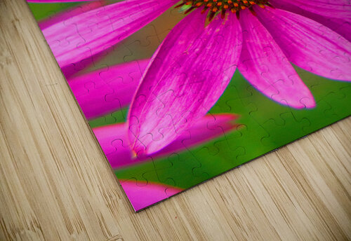 FlowersPlants 139 Rich Lewis puzzle
