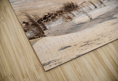 Coastal 8 Rich Lewis puzzle