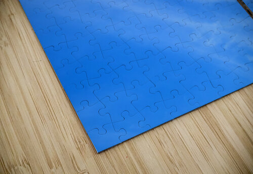 Coastal 25 Rich Lewis puzzle