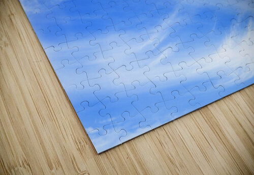 Coastal 29 Rich Lewis puzzle