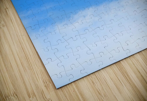Coastal 30 Rich Lewis puzzle