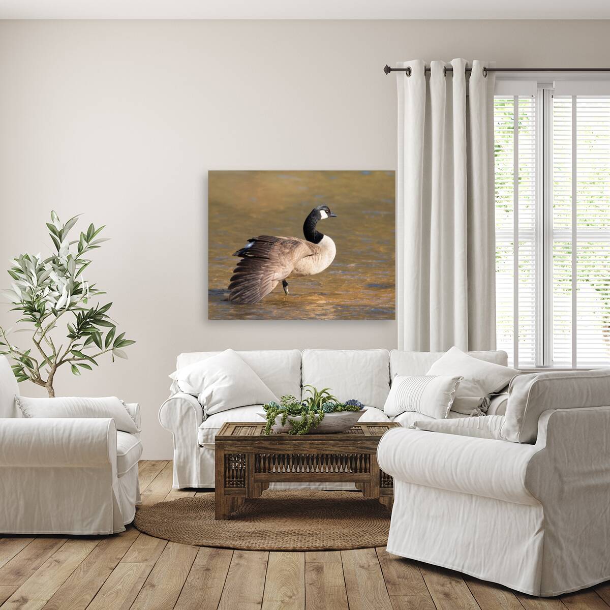 Waterfowl 3 Reproduction