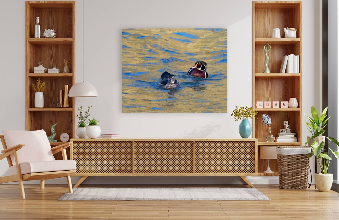 Waterfowl 6 Reproduction