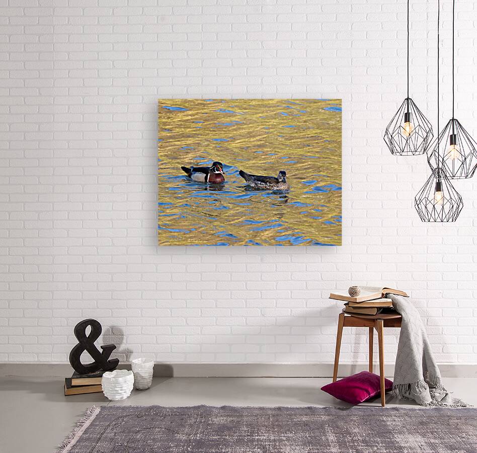 Waterfowl 20 Reproduction