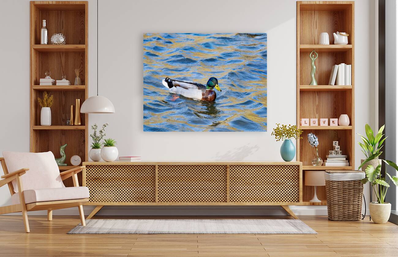 Waterfowl 22 Reproduction