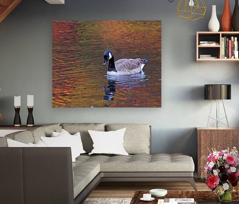 Waterfowl 27 Reproduction