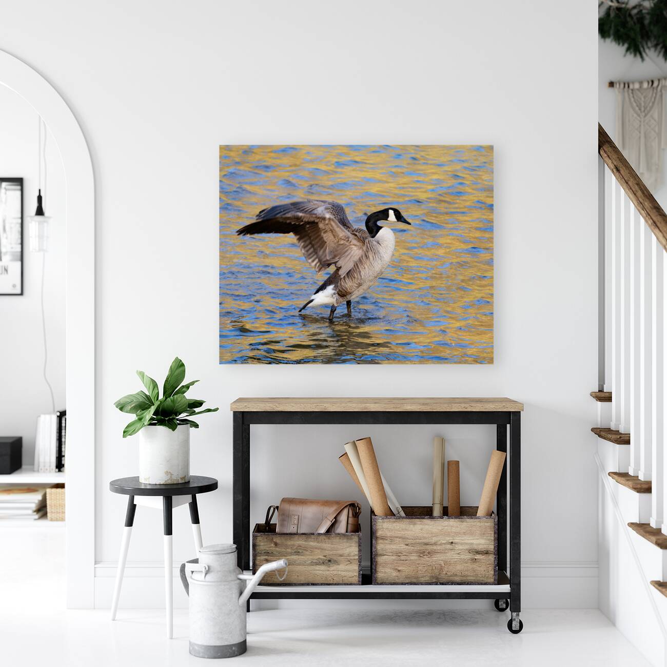 Waterfowl 30 Reproduction