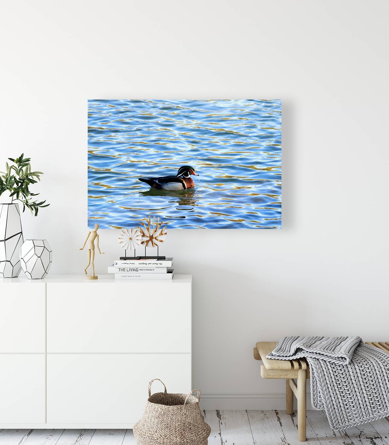 Waterfowl 31 Reproduction